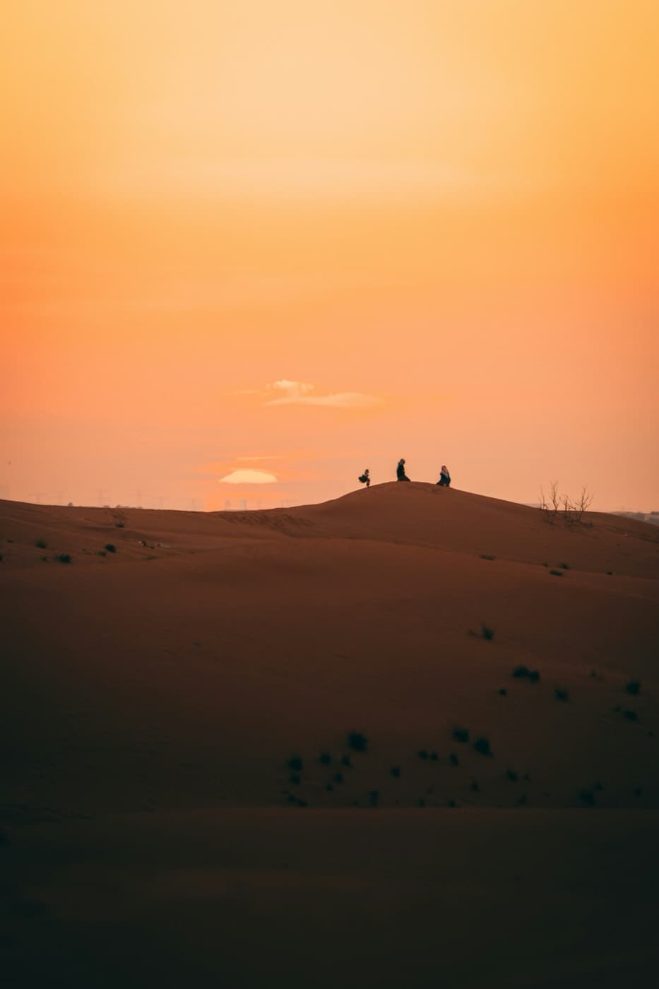 عقلية الجمهور أولًا: كيف تضمن النجاح قبل الإطلاق؟